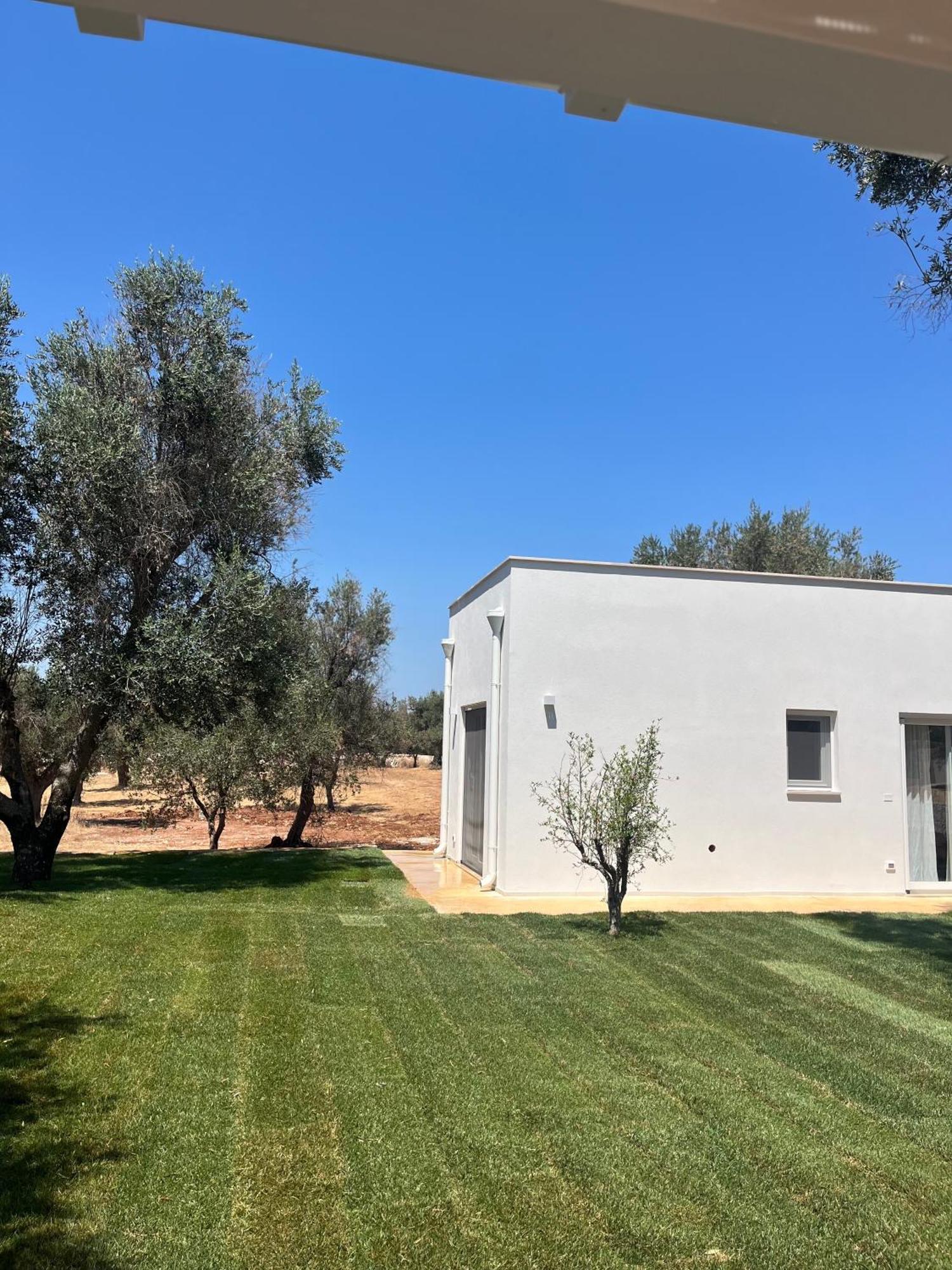 Trullo Gritti All'Antico Uliveto San Michele Salentino Ngoại thất bức ảnh