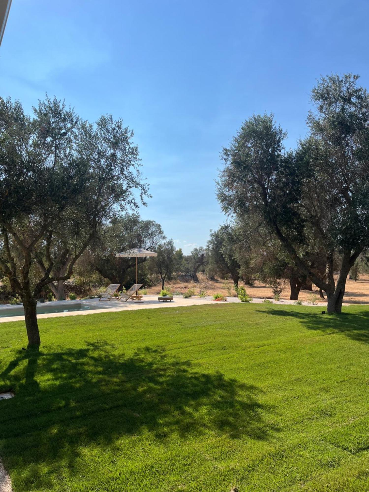 Trullo Gritti All'Antico Uliveto San Michele Salentino Ngoại thất bức ảnh