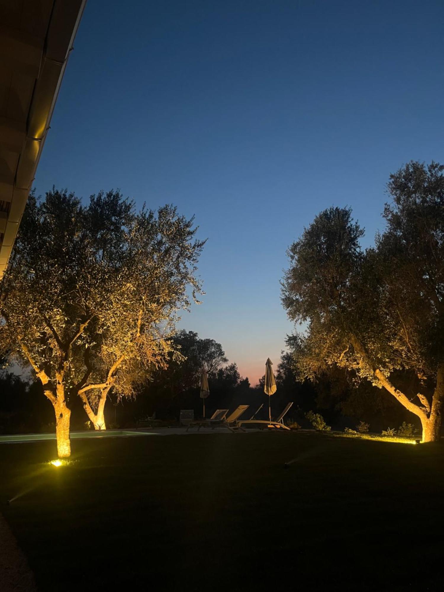 Trullo Gritti All'Antico Uliveto San Michele Salentino Ngoại thất bức ảnh