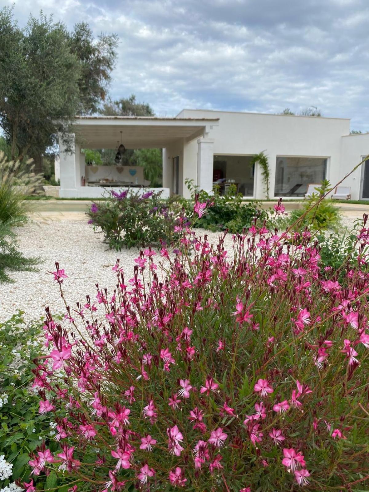 Trullo Gritti All'Antico Uliveto San Michele Salentino Ngoại thất bức ảnh