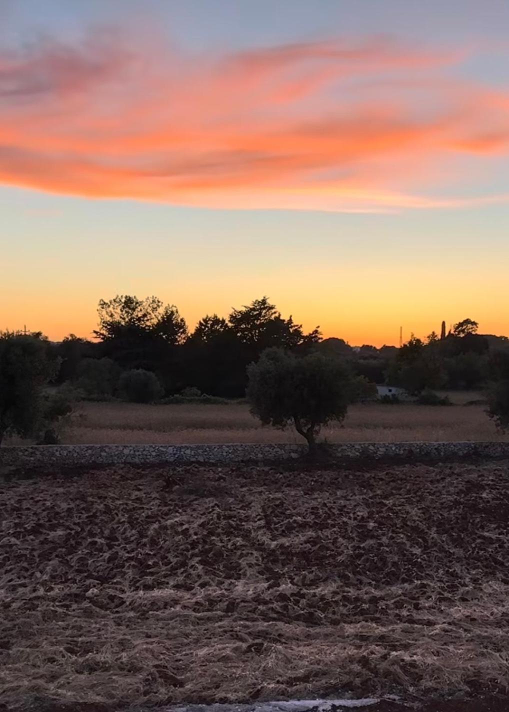 Trullo Gritti All'Antico Uliveto San Michele Salentino Ngoại thất bức ảnh